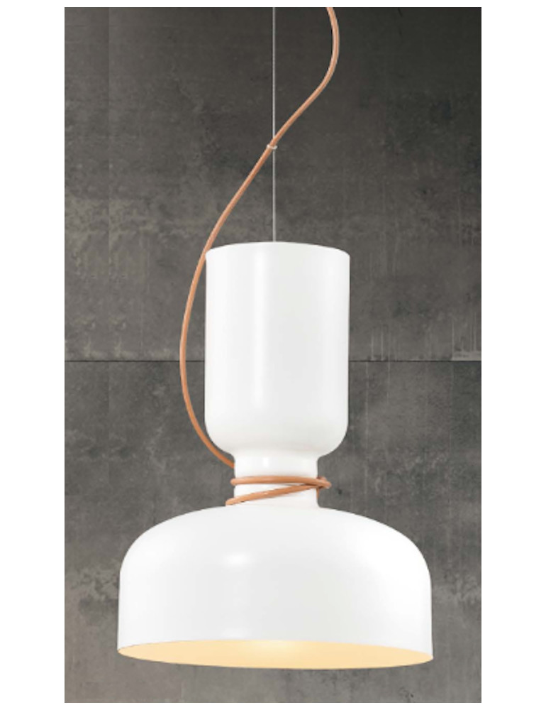 子澄燈飾-金屬烤漆造型單燈吊燈