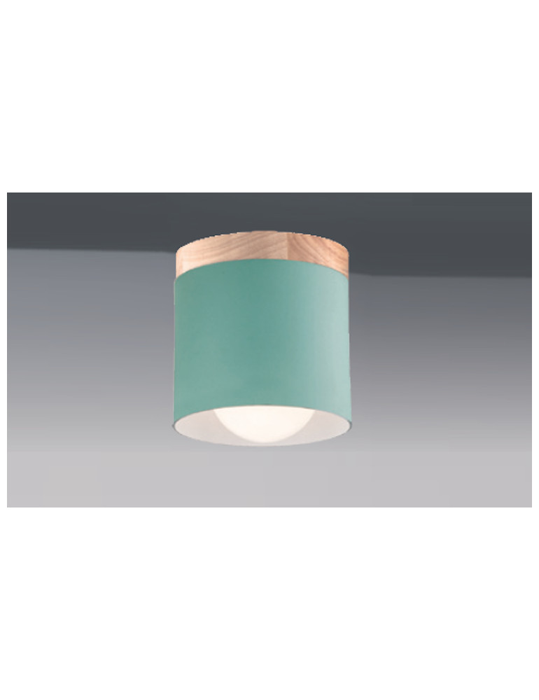 子澄燈飾-鐵材圓造型單燈吸頂燈(綠色)